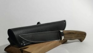 Главная